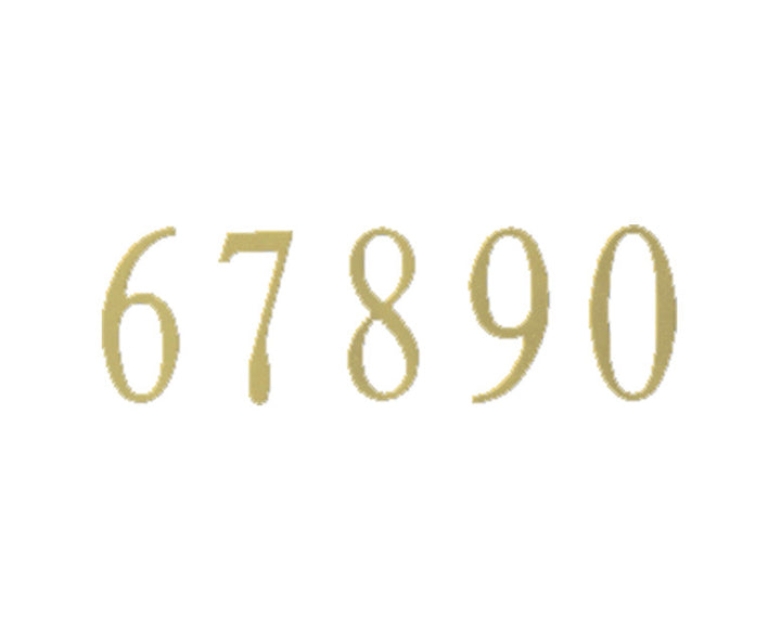 Special Lite Brass & Stainless Steel Address Number