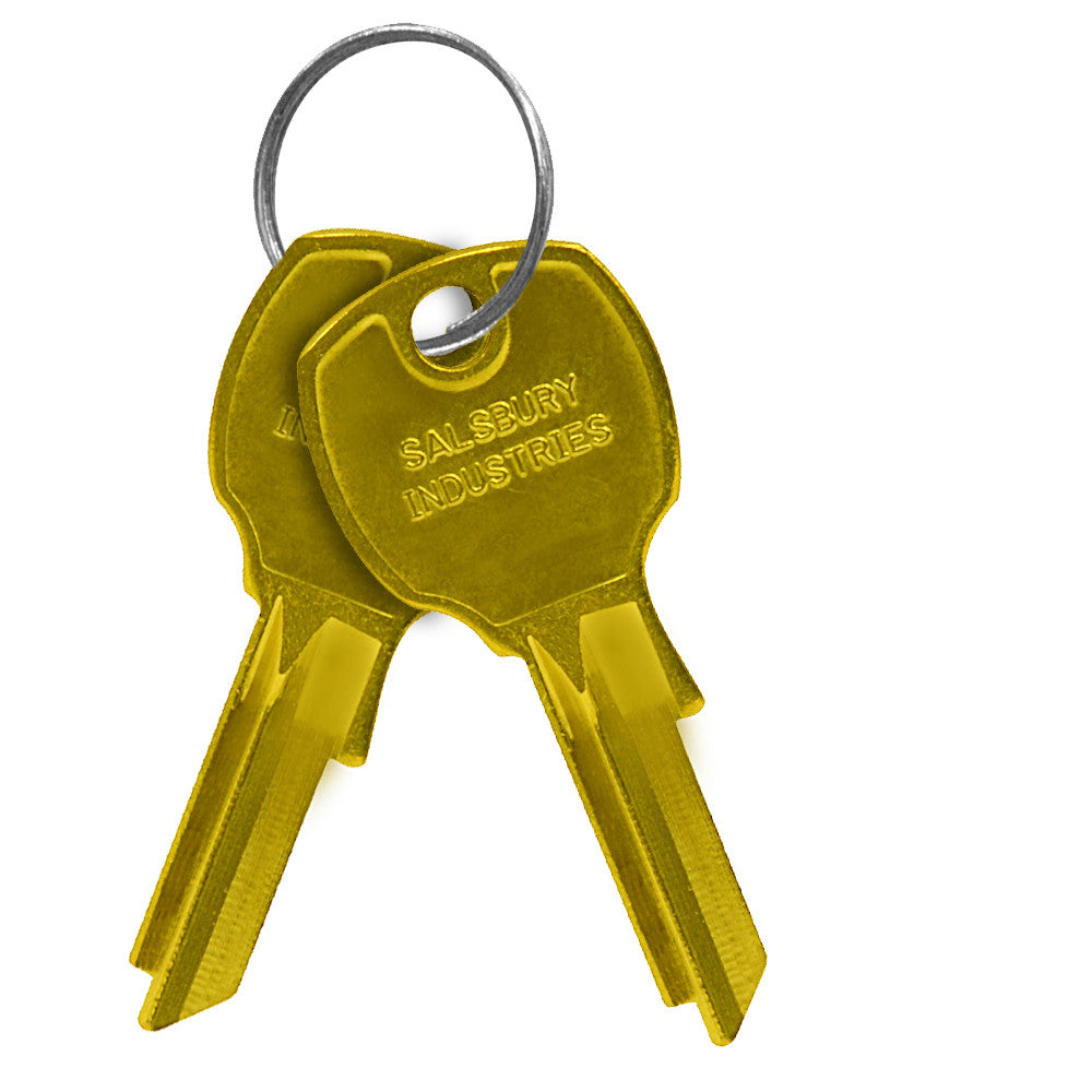 Salisbury Industries Keys Blanks for Vertical Mailboxes Standard Locks - Pack of 50; 3599 