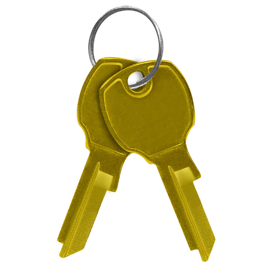 Salisbury Industries Key Blanks for Standard Locks of 4C Horizontal Mailboxes Box of 50; 3799